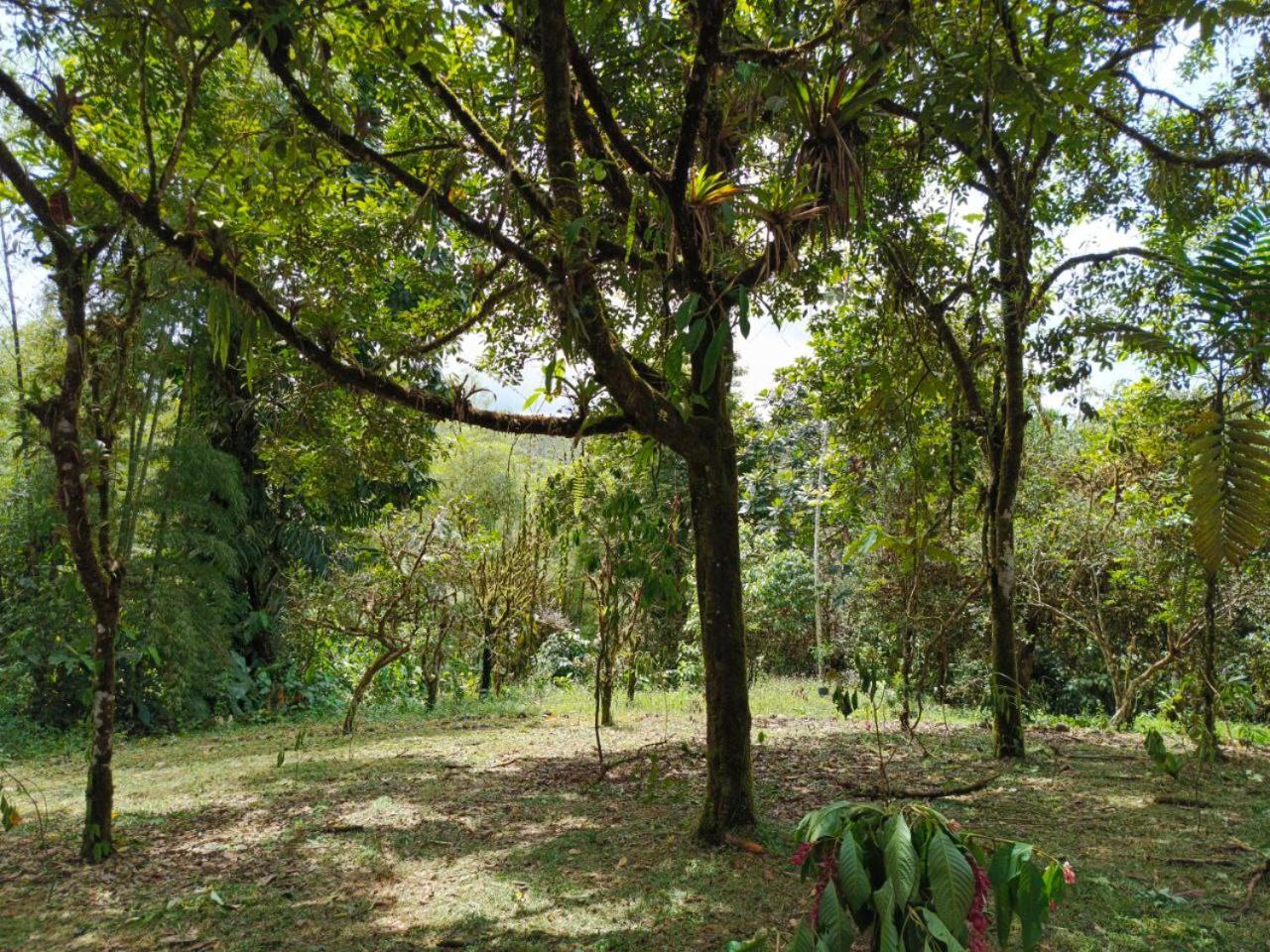 Hosteria Sapos Y Ranas Milpe Luaran gambar